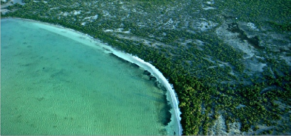 Belize-Mangroves